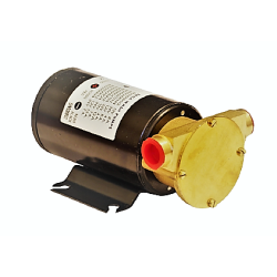 Elettropompe rotative autoadescanti deck