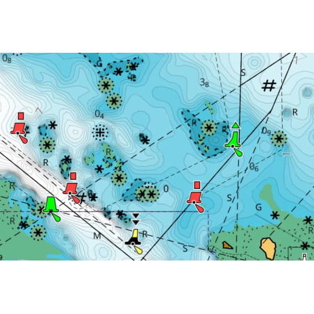 CARTOGRAFIA C-MAP REVEAL