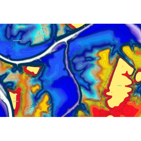 CARTOGRAFIA C-MAP REVEAL