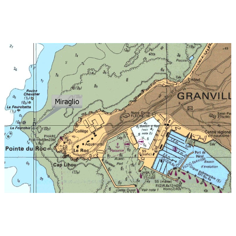 CARTOGRAFIA C-MAP REVEAL