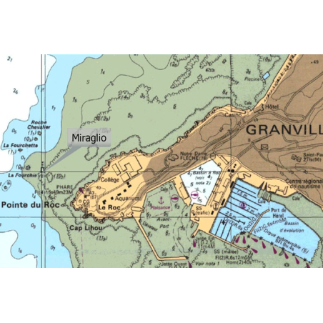 CARTOGRAFIA C-MAP REVEAL