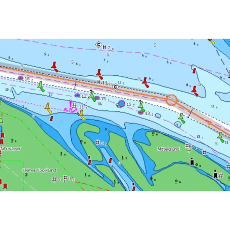 CARTOGRAFIA C-MAP REVEAL